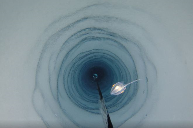 Під льодовиком Антарктиди вчені знайшли живих істот (ФОТО)