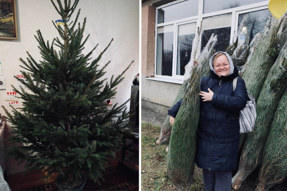 Напередодні Різдва військовим та їхнім сім'ям Рівненщини подарували ялинки