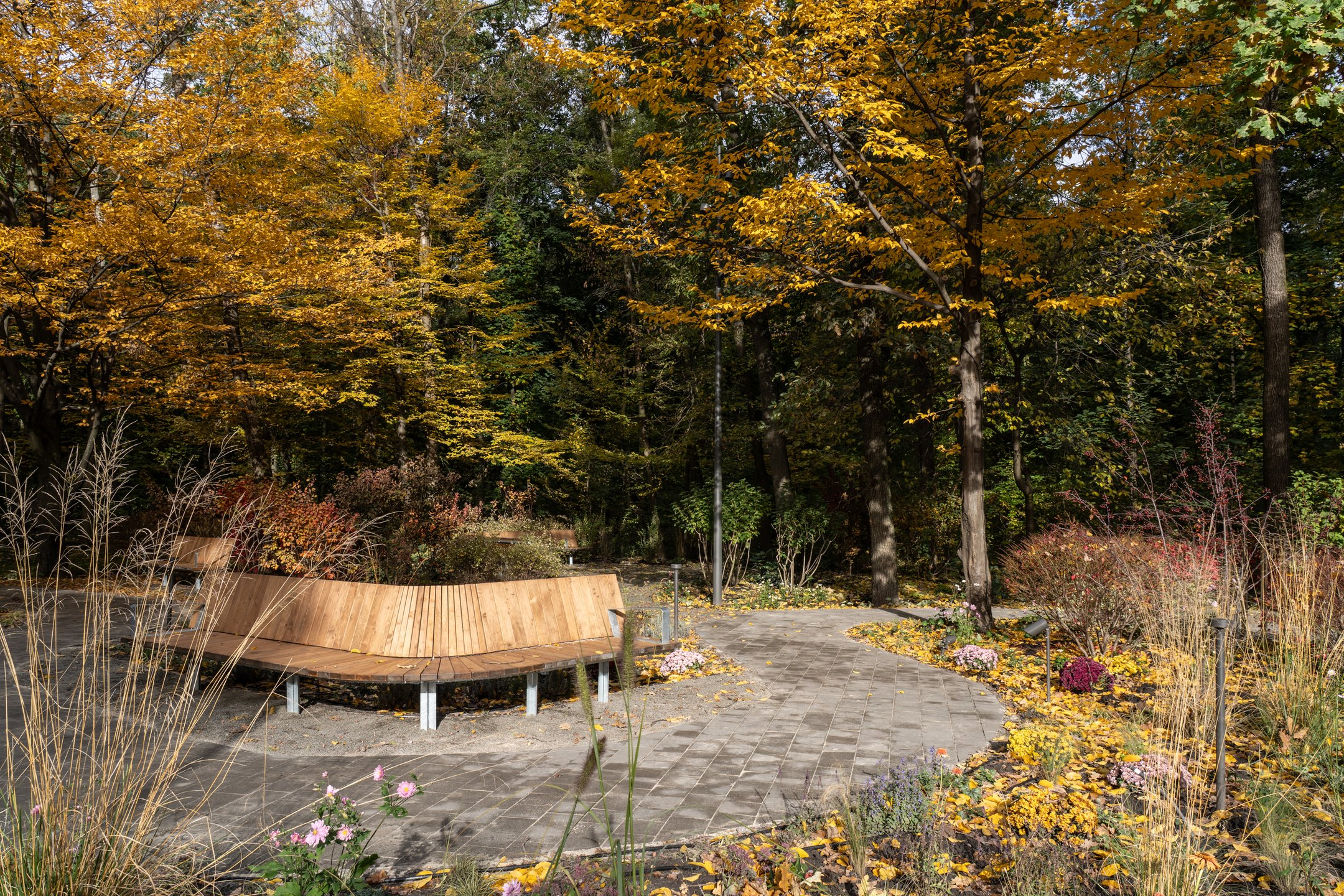 Терапевтичний сад на ВДНГ: у Києві відкрили перший простір для реабілітації військових