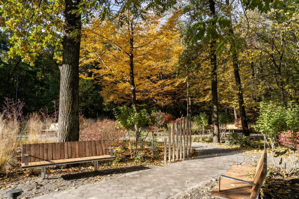 Терапевтичний сад на ВДНГ: у Києві відкрили перший простір для реабілітації військових